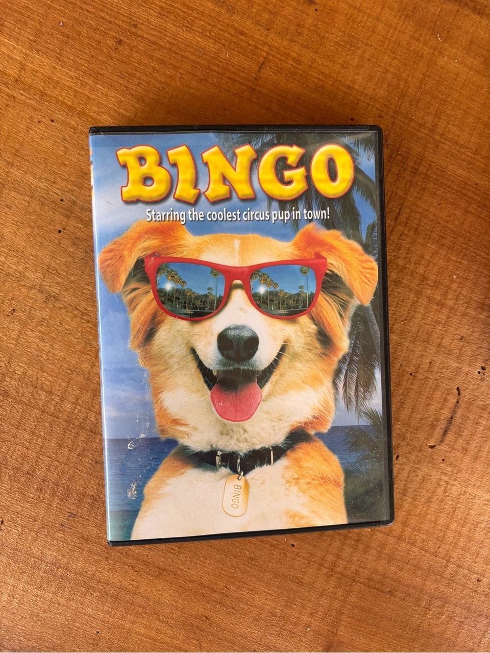 Bingo movie dvd